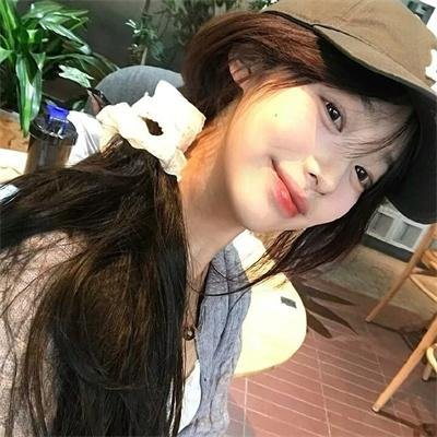 兽娘动物园